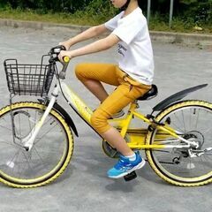22インチ 子供用自転車 難アリ 条件アリの画像