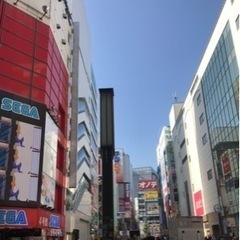 【5/21(土) 13時〜17時】ポケカ収集同行者募集@秋葉原 - 千代田区