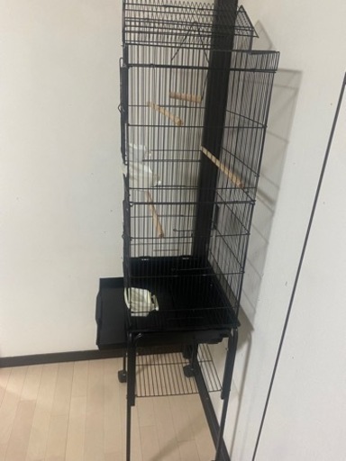 鳥かご