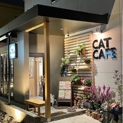 猫カフェで婚活パーティー