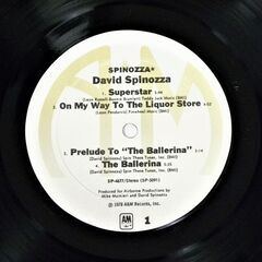 ★ LPレコード ★ オリジナル米盤 ★ DAVID SPINOZZA 〇 デヴィッド・スピノザ  〇 スピノザ・ニューヨーク  〇の画像