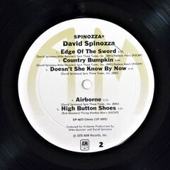 ★ LPレコード ★ オリジナル米盤 ★ DAVID SPINOZZA 〇 デヴィッド・スピノザ  〇 スピノザ・ニューヨーク  〇の画像