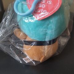 柴犬ちゃん(*^_^*)受け渡し予定者様決定☆