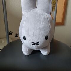 ウサギ🐰受け渡し予定者様　決定致しました(*‘ω‘ *)