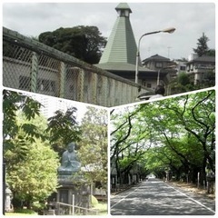 楽しくウォーキングしませんか〜😊