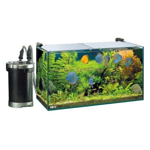 値下げしました✨水槽6点セット