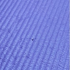 【譲渡者確定】ヨガマットの画像