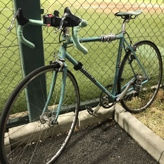 Bianchi 引越しに伴い引き取り先探し