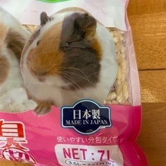 ウッドリター　うさぎ　モルモット　デグーの画像