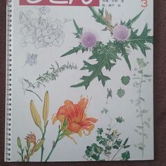 しぜん キンダーブック