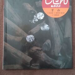 しぜん キンダーブックの画像