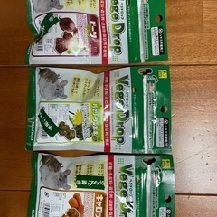 デグー　チンチラ