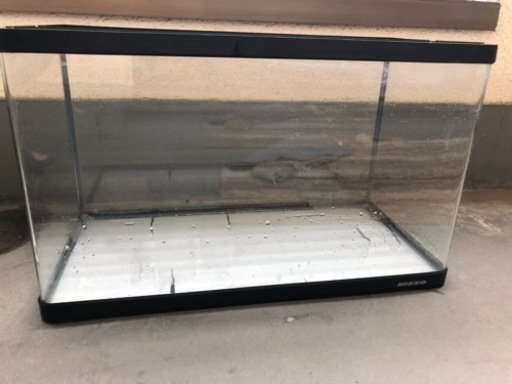 60cm水槽