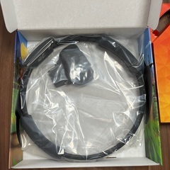 任天堂Switch リングフィットアドベンチャーの画像