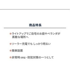 ディスクライト　BELL HOWELL B級品の画像