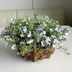 5/28(土)お洒落なバスケットを使った花の寄せ植え教室の画像