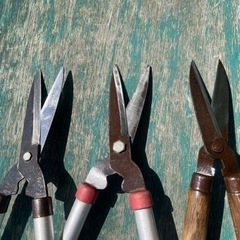 剪定バサミ　刈り込み鋏の画像