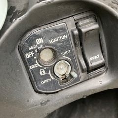 原付 ホンダ ジョルノ プコブルーの画像