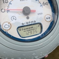 原付 ホンダ ジョルノ プコブルーの画像