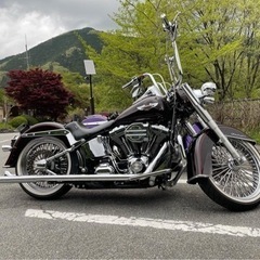 値下げしました！2011年 flstn ソフテイルデラックス ABS付きモデル チョロスタイルの画像