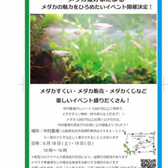 メダカイベント開催！！