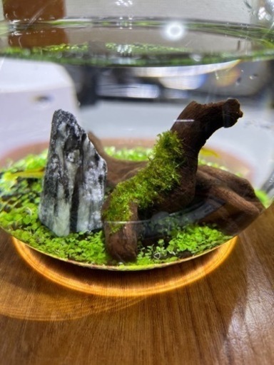 お取引中【オーダー品】アクアボトル(直径15㎝)緑の絨毯仕上げ