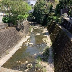川に足を浸しに行く会