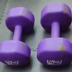 Fieldoor カラーダンベル  12kg×2個セット 可変式...