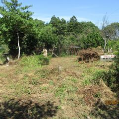 543志摩市阿児町鵜方600万円469つぼ売地果樹園にいかがですか