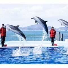 四国水族館入場チケット