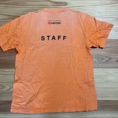 激レア☆長渕剛オールナイトコンサートスタッフTシャツの画像