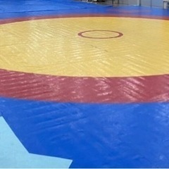 🤼‍♀️大泉町近郊でレスリング🤼‍♀️