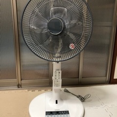 美品　2019年製扇風機