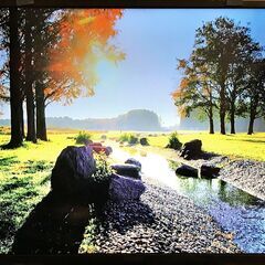 ORION オリオン 48型 液晶テレビ DNX48-3BP(LC-018) 2014製の画像
