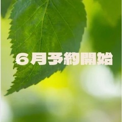 6月レッスン予約開始