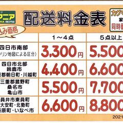 D-20◇ASU-018MA◇プラズマイオン冷風扇　丸隆製の画像