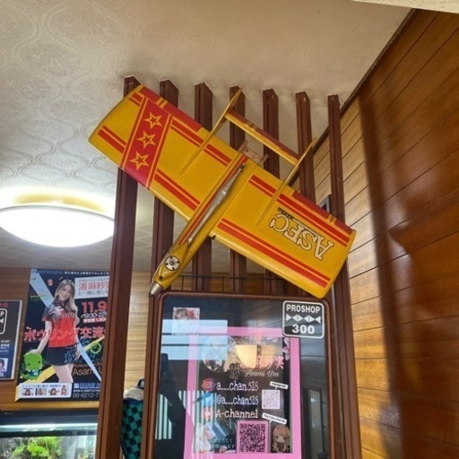 ラジコン飛行機(エンジン式)