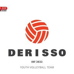 Derisso　(男女混合6人バレー）
