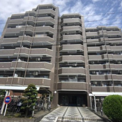 🔥入居総額0円🔥3LDK🔥東武東上線/成増駅 歩25分✨埼玉県和光市南✨の画像