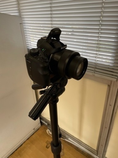 写真屋さんセット　一式