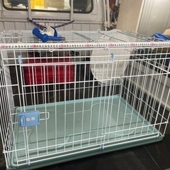 ペットゲージ　犬　子犬　仔犬