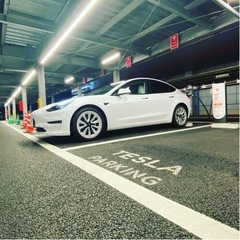 ツーリング仲間募集✨