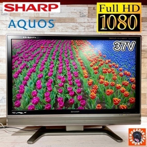 【すぐ見れる‼️】SHARP AQUOS 大型テレビ 37型✨ フルHD⭕️ 配送＆取付け無料