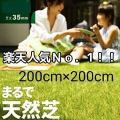 未使用品 人工芝　モダンデコ　高密度 ハイグレードタイプ　35m...