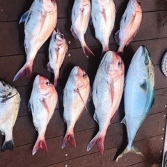釣り部メンバー募集 − 千葉県