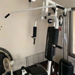 WILD FIT GYM マルチトレーニングマシン、マルチホームジム