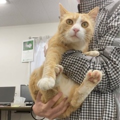 べた馴れ！きなこ色の可愛い男の子♡