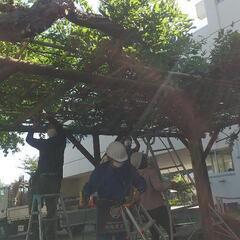 公園やお庭のお仕事です【造園】の画像