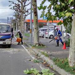 【~12月】公園やお庭のお仕事です【バイト】の画像