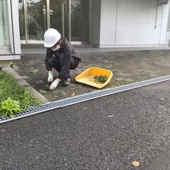 【~12月】公園やお庭のお仕事です【バイト】